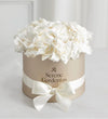 Preserved Serene Gardenias