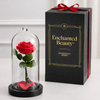 Enchanted Beauty™ by Magnificent Roses