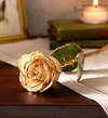 The Loving Rose- 24K Gold Dipped Rose