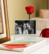 Magnificent Roses® Personalized Bud Vase